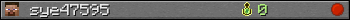 sye47595 userbar 350x20