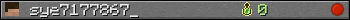 sye7177867_ userbar 350x20
