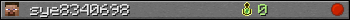 sye8340698 userbar 350x20