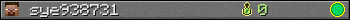 sye938731 userbar 350x20