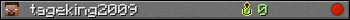 tageking2009 userbar 350x20