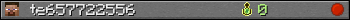 te657722556 userbar 350x20