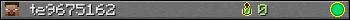 te9675162 userbar 350x20