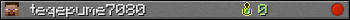teqepume7080 userbar 350x20