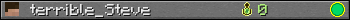 terrible_Steve userbar 350x20