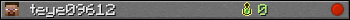 teye09612 userbar 350x20