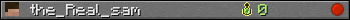 the_Real_sam userbar 350x20