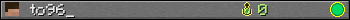 Benutzerleisten 350x20 für to96_
