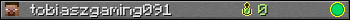 tobiaszgaming091 userbar 350x20