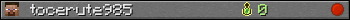 tocerute985 userbar 350x20