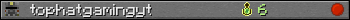 tophatgamingyt userbar 350x20