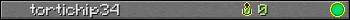 tortichip34 userbar 350x20