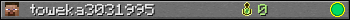 toweka3031995 userbar 350x20