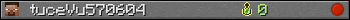 tuceVu570604 userbar 350x20