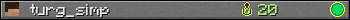 turg_simp userbar 350x20