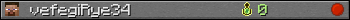 vefegiRye34 userbar 350x20