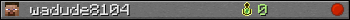 wadude8104 userbar 350x20