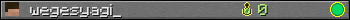 wegesyagi_ userbar 350x20