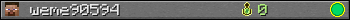 weme90594 userbar 350x20