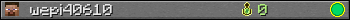 wepi40610 userbar 350x20
