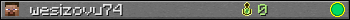 wesizovu74 userbar 350x20
