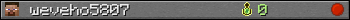weveho5807 userbar 350x20