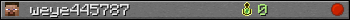 weye445787 userbar 350x20