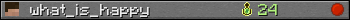 what_is_happy userbar 350x20