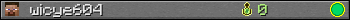 wicye604 userbar 350x20
