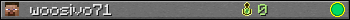 woosivo71 userbar 350x20