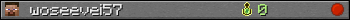 woseevei57 userbar 350x20