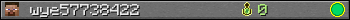 wye57738422 userbar 350x20