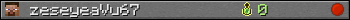 zeseyeaVu67 userbar 350x20