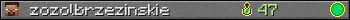 zozolbrzezinskie userbar 350x20