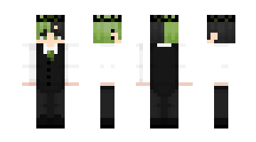 Skin 1267