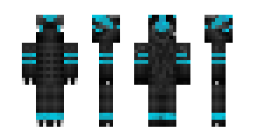 Skin 2n6