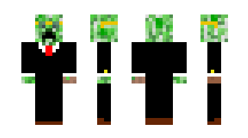 Skin 314