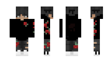 Skin 3761