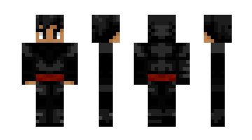 Skin 4351