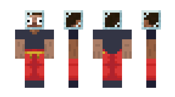 Skin 4748