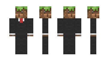 Skin 4XLS