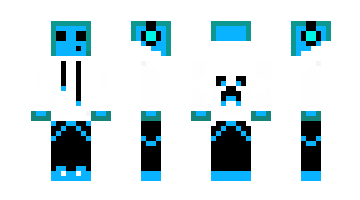 Skin 4pack