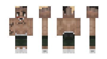 Skin 7332