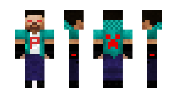 Skin 74170