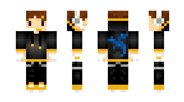 Skin 7907