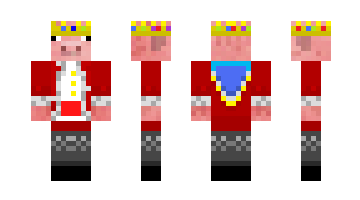 Skin AcePlayz4321