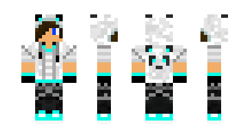 Skin Amir777