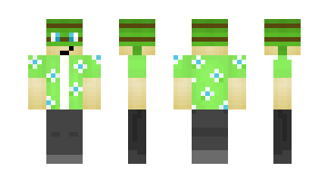 Skin AndresTheMiner