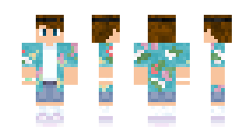 Skin Archfd