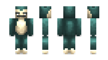 Skin AstroHame